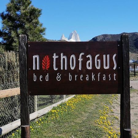 Nothofagus Bed & Breakfast Ель-Чальтен Екстер'єр фото